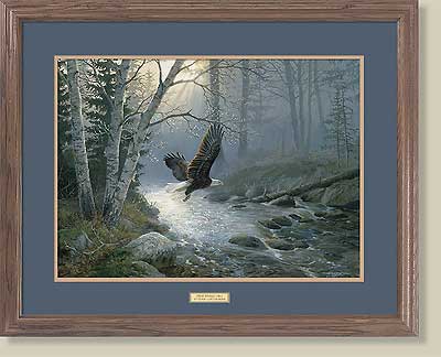 Spring Run-Bald Eagle by Persis Clayton Weirs - Click Image to Close